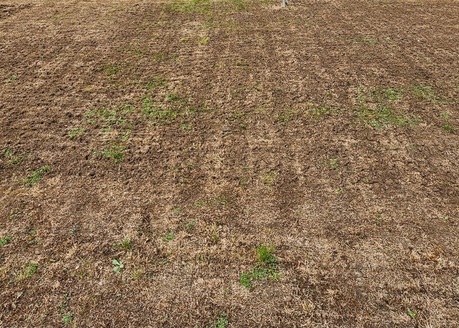 Aerating